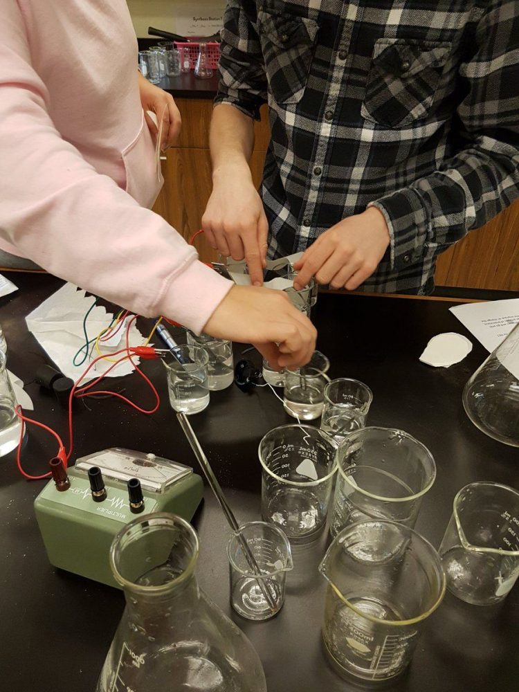 Taking Senior Science Classes Outside With Purpose imaginED