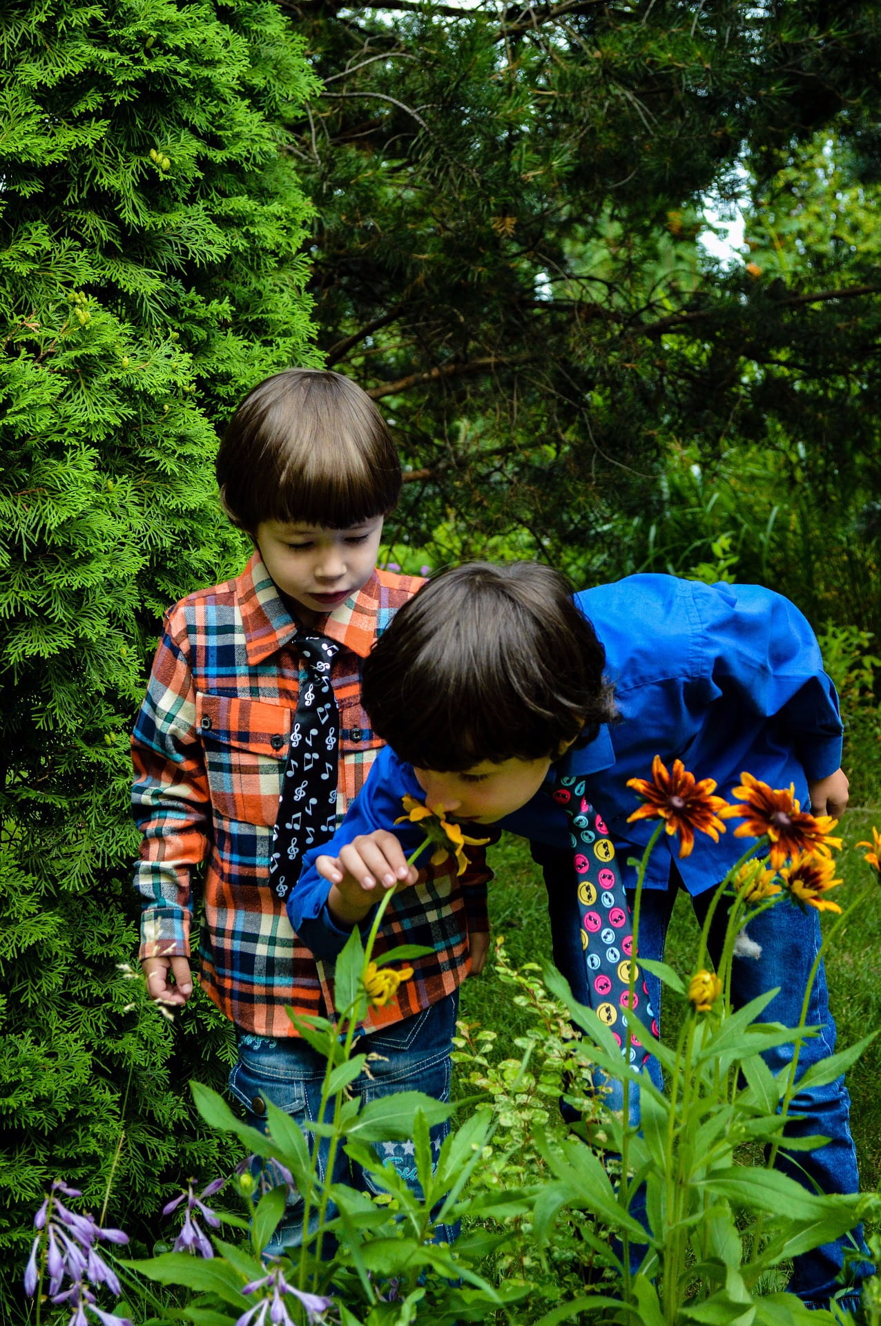 The Little Lady Who Makes Flowers Bloom Your Smile Makes Flowers Bloom – imaginED