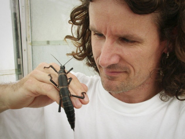 Patrick Honan/Nick Carlile Keep your diamonds, I'll take a 125 carat Arthropod!