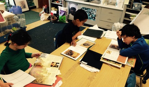 Hear From LiD Teachers ImaginED